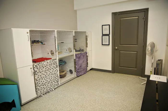 ValueCare Veterinary Clinic 6