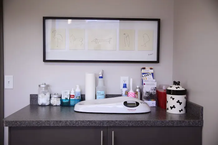 ValueCare Veterinary Clinic 3