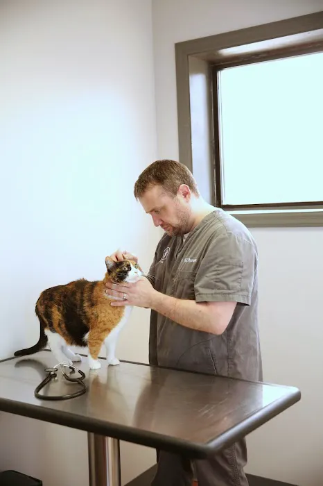 ValueCare Veterinary Clinic 7
