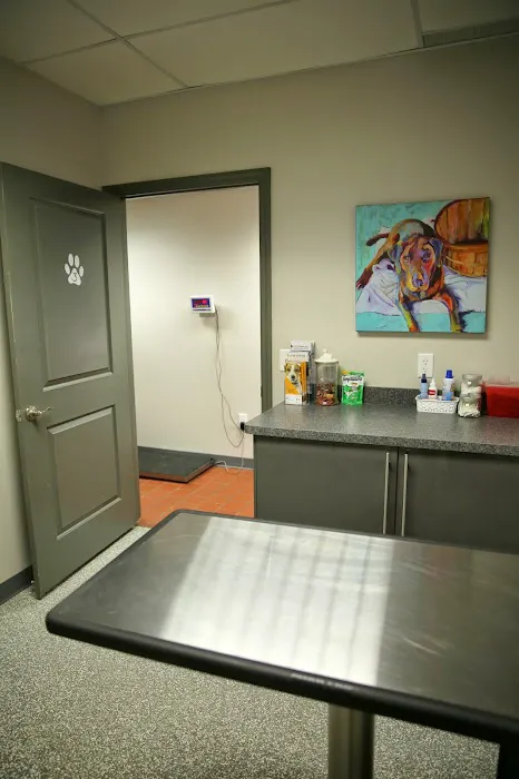 ValueCare Veterinary Clinic 4