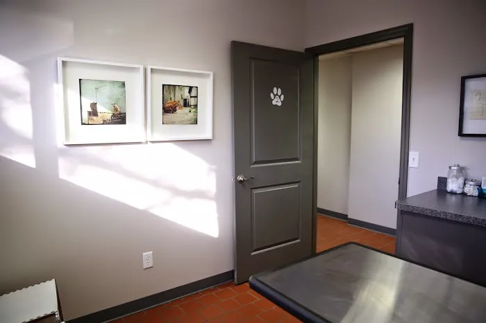ValueCare Veterinary Clinic 1
