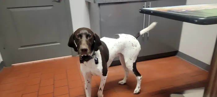ValueCare Veterinary Clinic 5