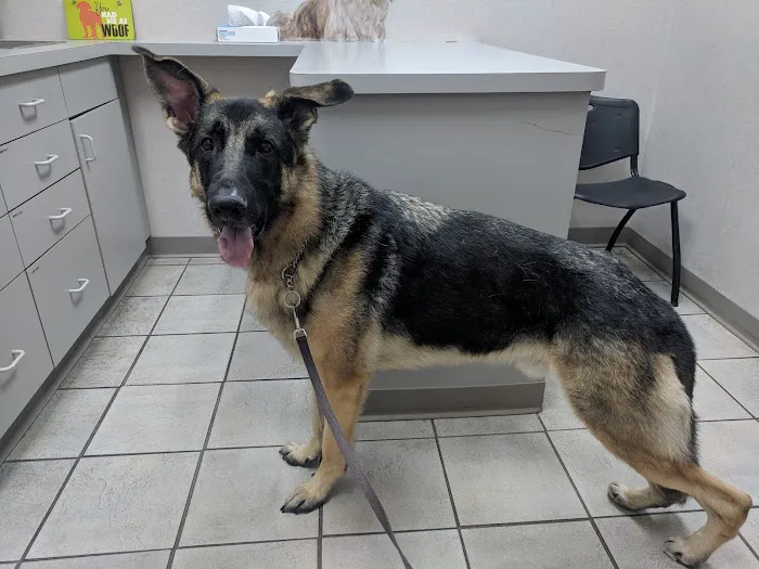 Chaska Valley Veterinary Clinic 12