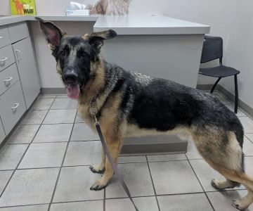 Chaska Valley Veterinary Clinic