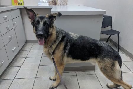 Chaska Valley Veterinary Clinic