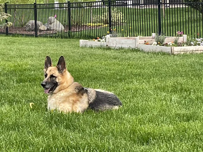 Chaska Valley Veterinary Clinic 12