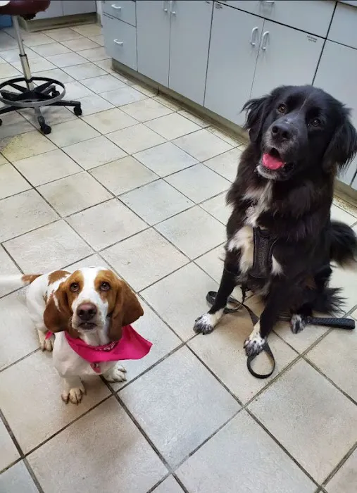 Chaska Valley Veterinary Clinic 12