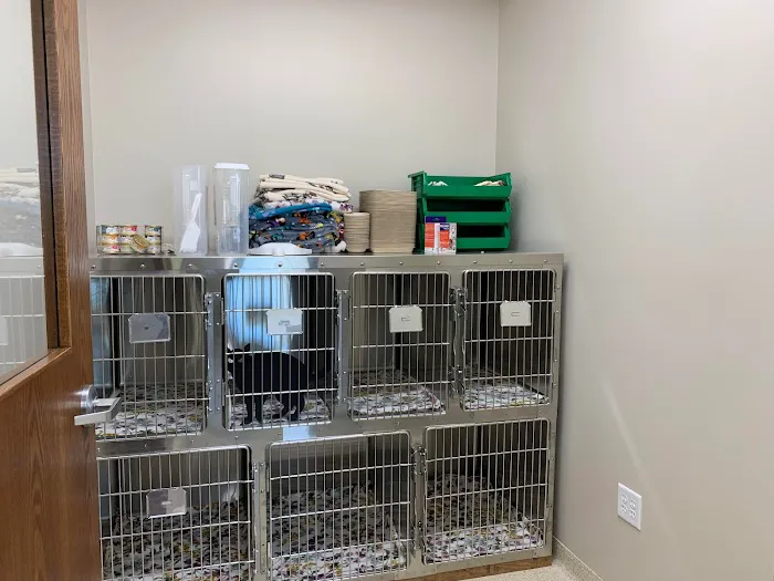 Healing Hands Veterinary Hospital 7