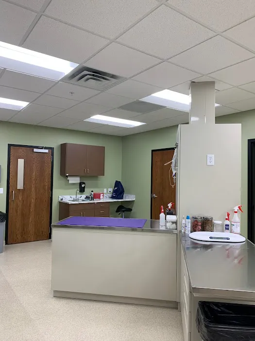 Healing Hands Veterinary Hospital 5
