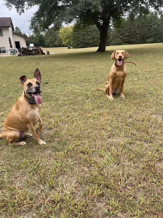 Oak Grove Animal Hospital 6