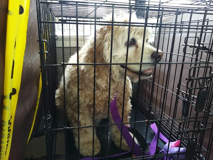 Oak Grove Animal Hospital 3
