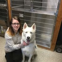 Oates Veterinary Clinic ico
