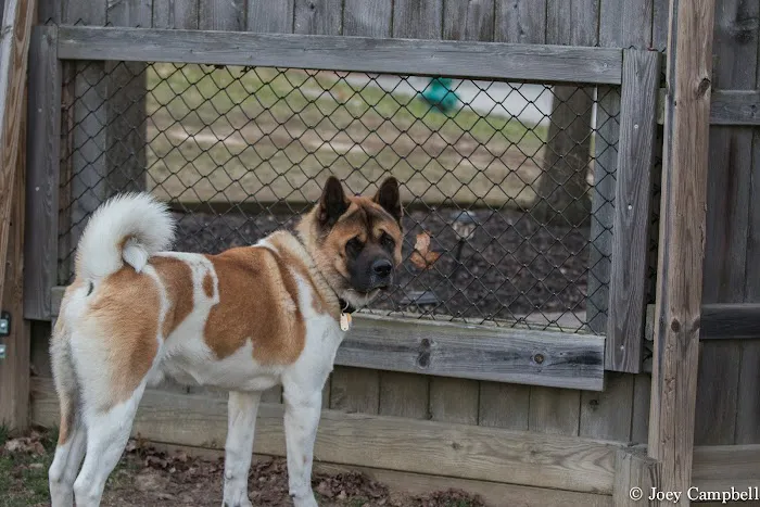 Oates Veterinary Clinic 3