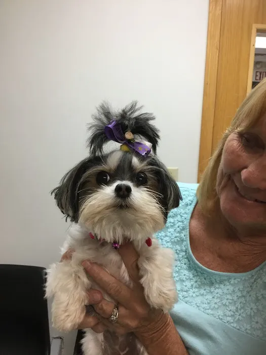 Oates Veterinary Clinic 5