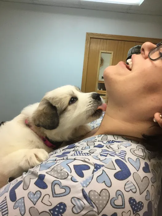 Oates Veterinary Clinic 9