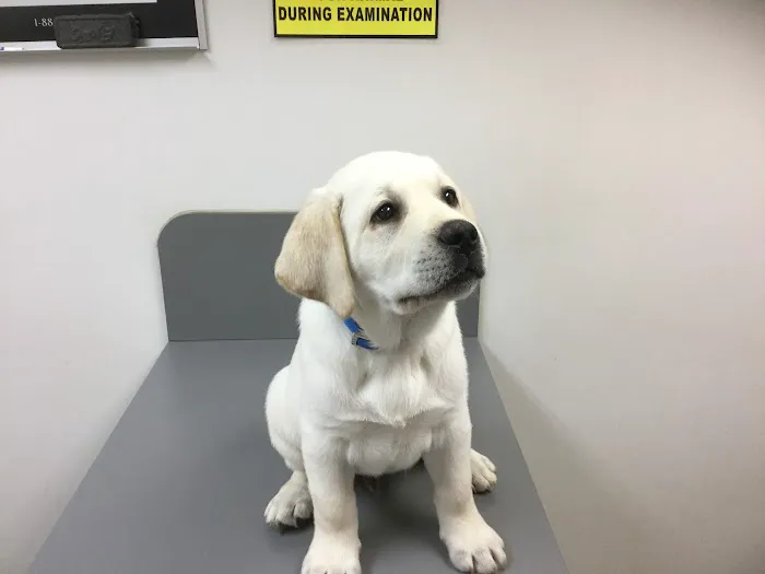 Oates Veterinary Clinic 7