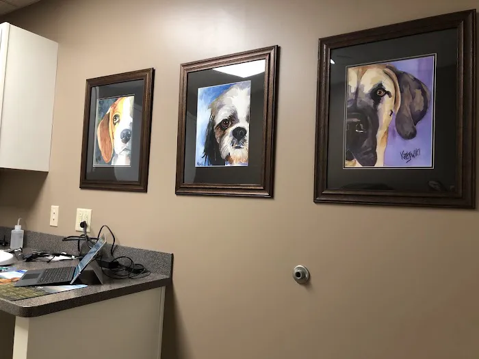 Arlington Veterinary Clinic 5