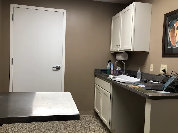 Arlington Veterinary Clinic 10
