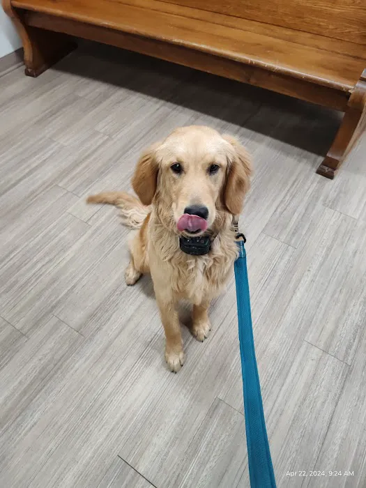 Diamond M Veterinary Clinic Inc 1