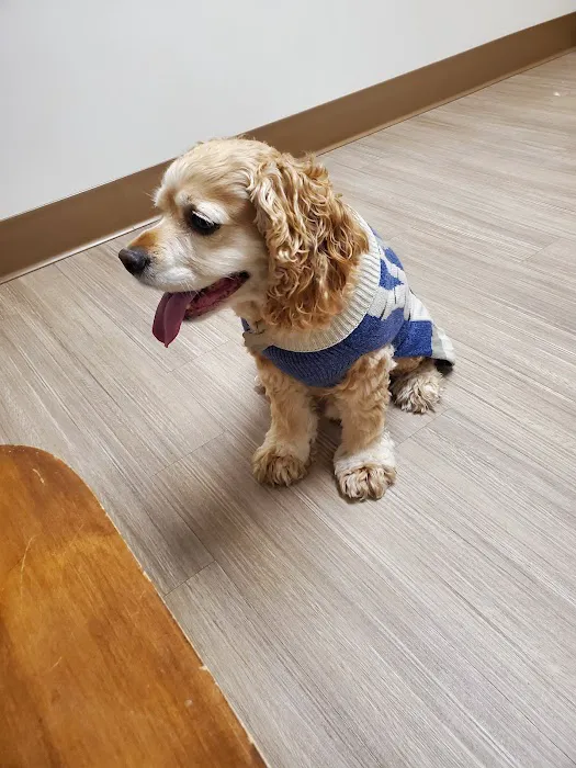 Diamond M Veterinary Clinic Inc 7