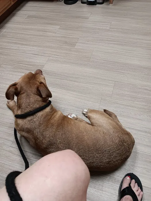 Diamond M Veterinary Clinic Inc 5
