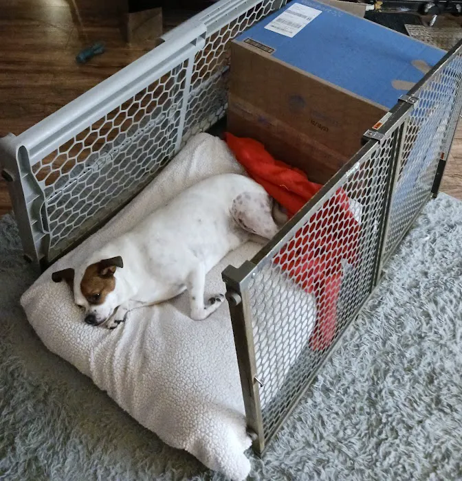 Barking Lot 8