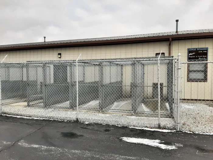 Barking Lot 9