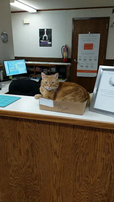 Ottawa Veterinary Clinic 7