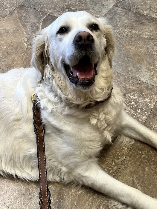 Ottawa Veterinary Clinic 4