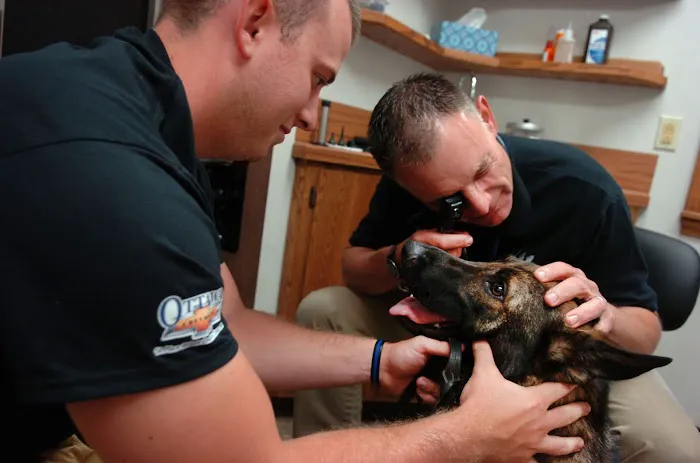Ottawa Veterinary Clinic 8