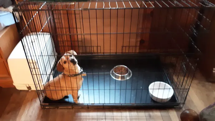 VCA Findlay Animal Care Center 8
