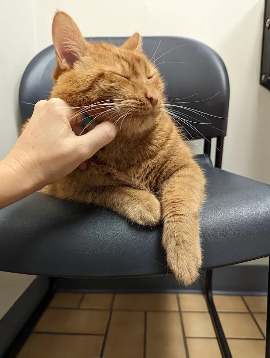 VCA Findlay Animal Care Center 6
