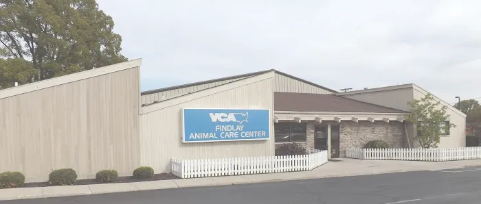 VCA Findlay Animal Care Center 10
