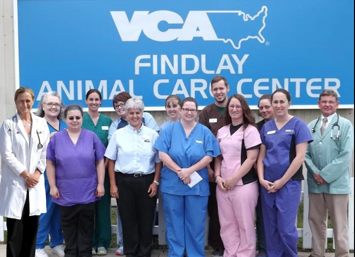 VCA Findlay Animal Care Center 4
