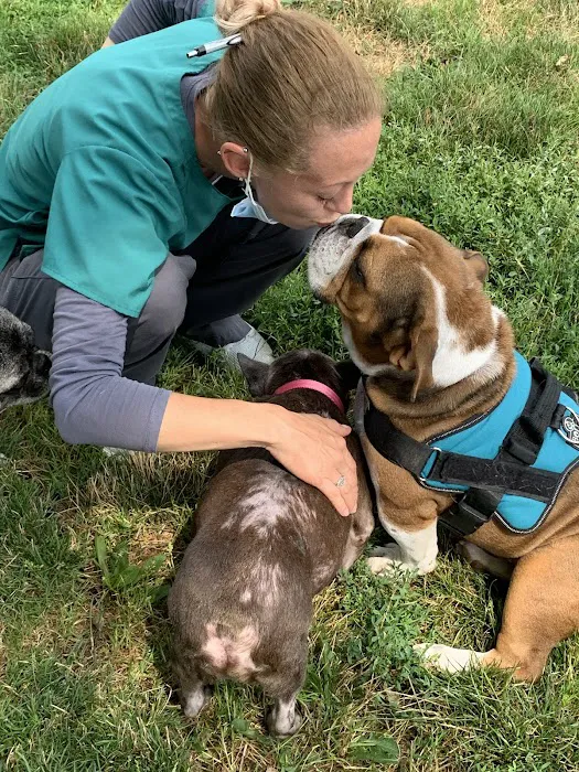 VCA Findlay Animal Care Center 7