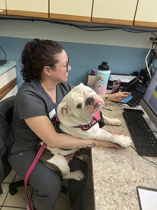 VCA Findlay Animal Care Center 5