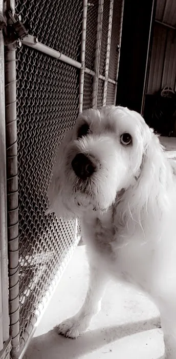Oak Harbor Veterinary Hospital 2