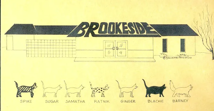 Brookeside Veterinary Hospital 10