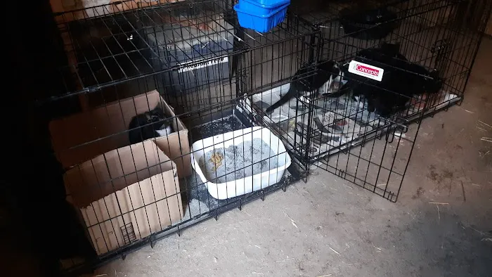 Brookeside Veterinary Hospital 8