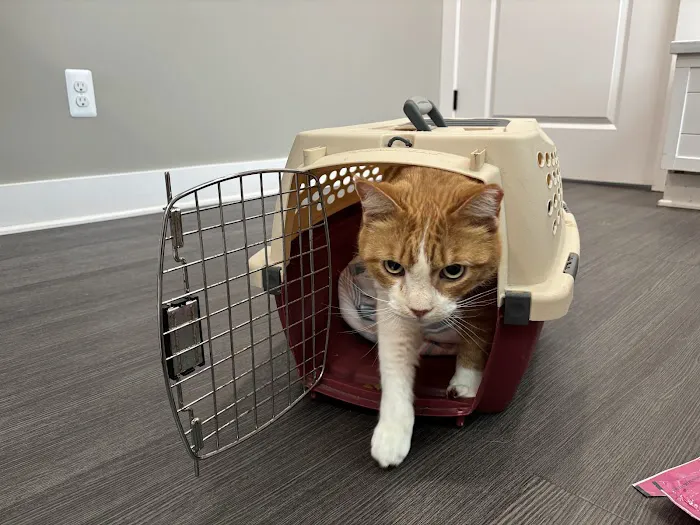 Arbor Hills Animal Clinic 3