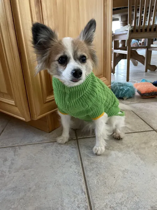 Arbor Hills Animal Clinic 4