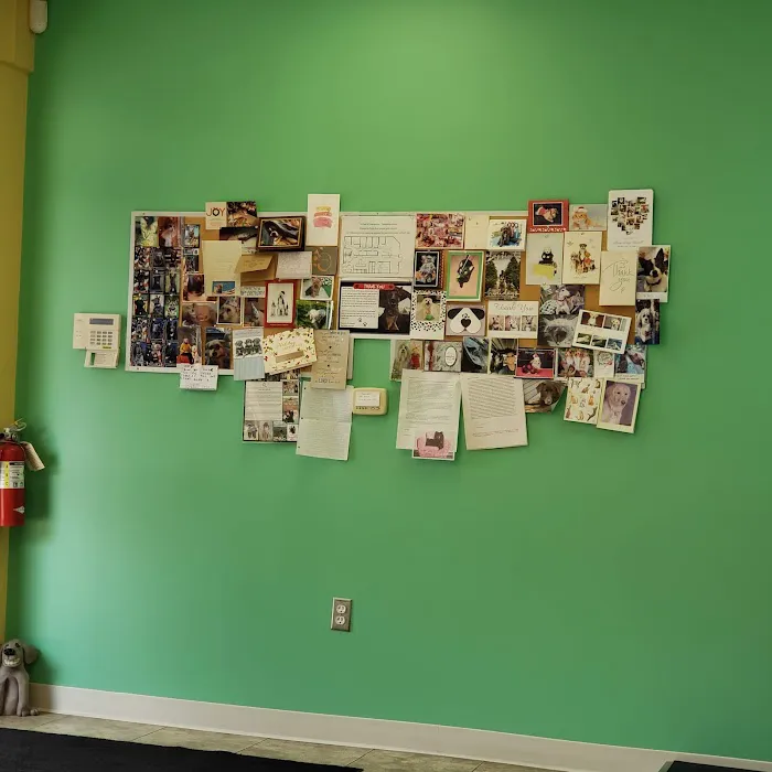 Dixboro Veterinary Dental 12