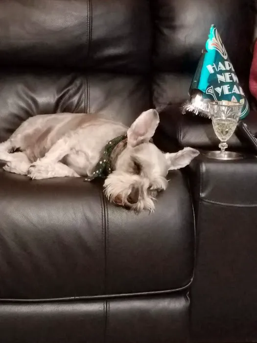 Lilley Veterinary Medical Center 10