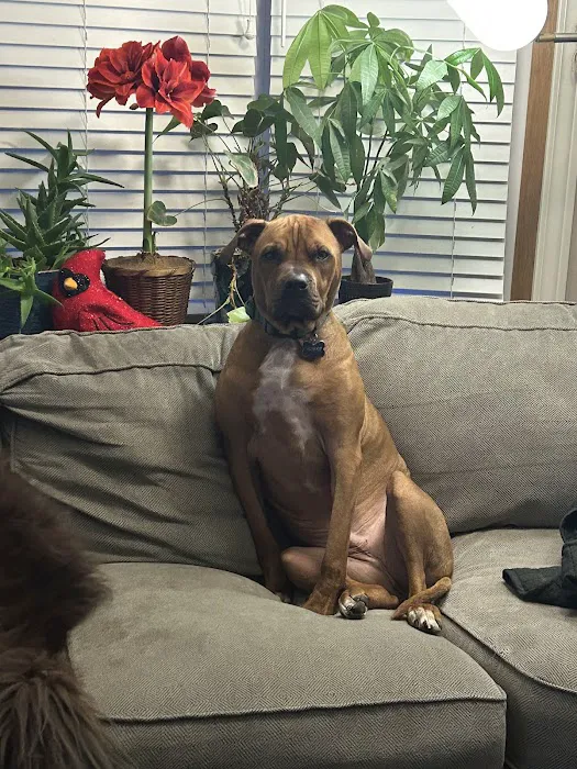 Lilley Veterinary Medical Center 9