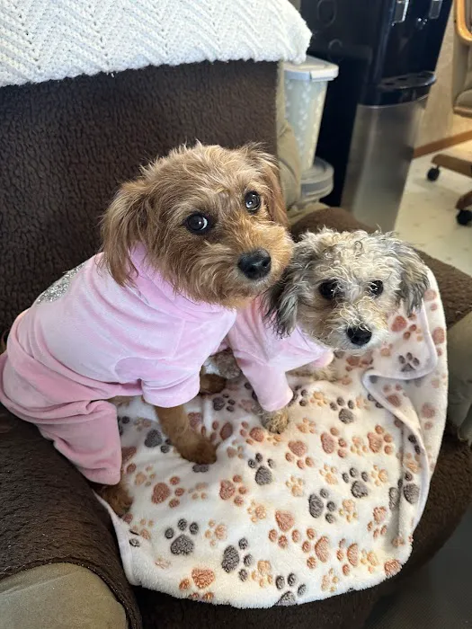 Lilley Veterinary Medical Center 4