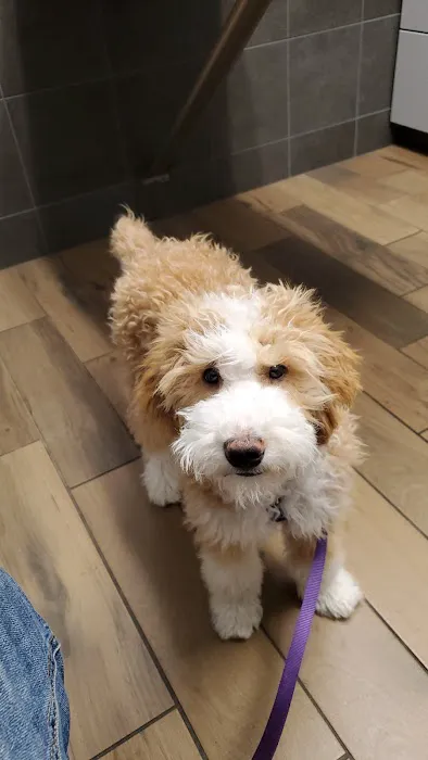 Lilley Veterinary Medical Center 5