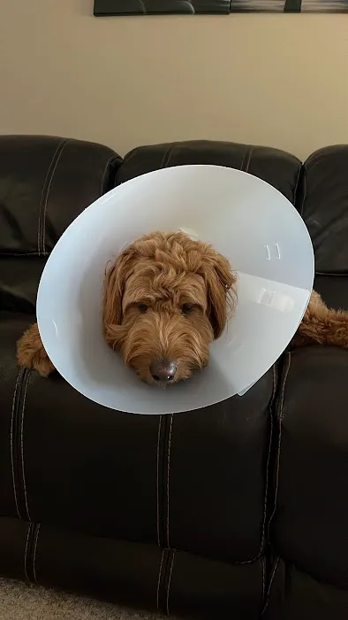 Lilley Veterinary Medical Center 3