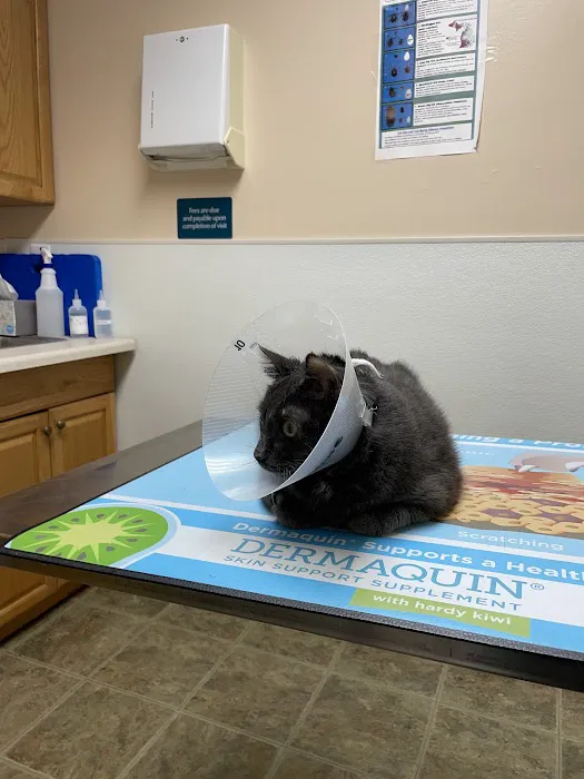 Alsager Animal Care Center 7