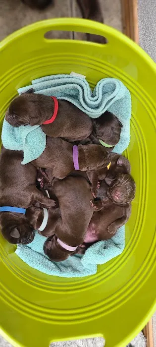 Alsager Animal Care Center 5