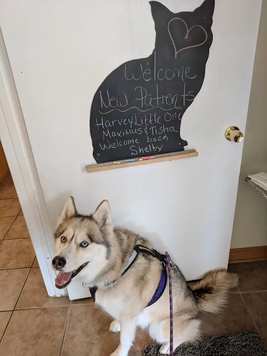 Animal Cancer & Imaging Center 7